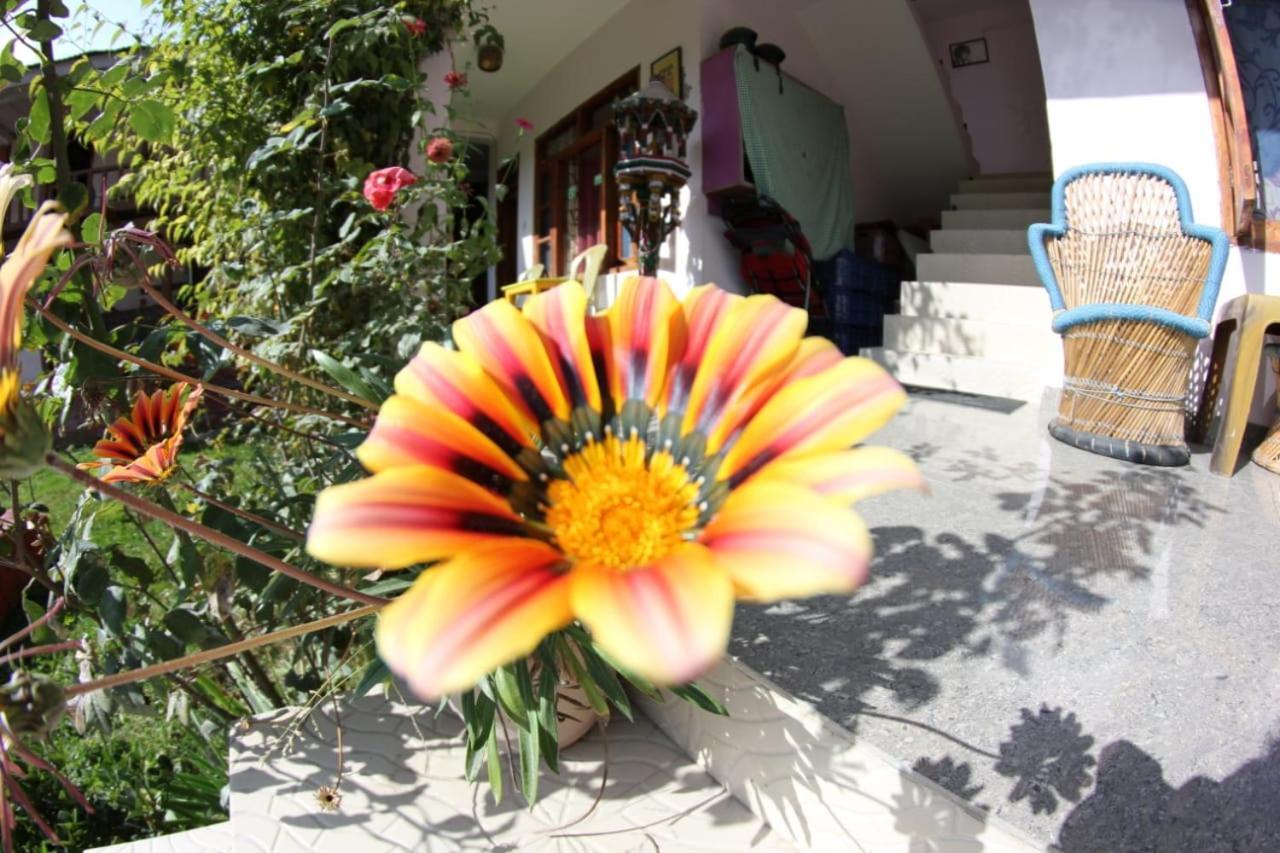 Green Home Cottage Guest house Manali (Himachal Pradesh)